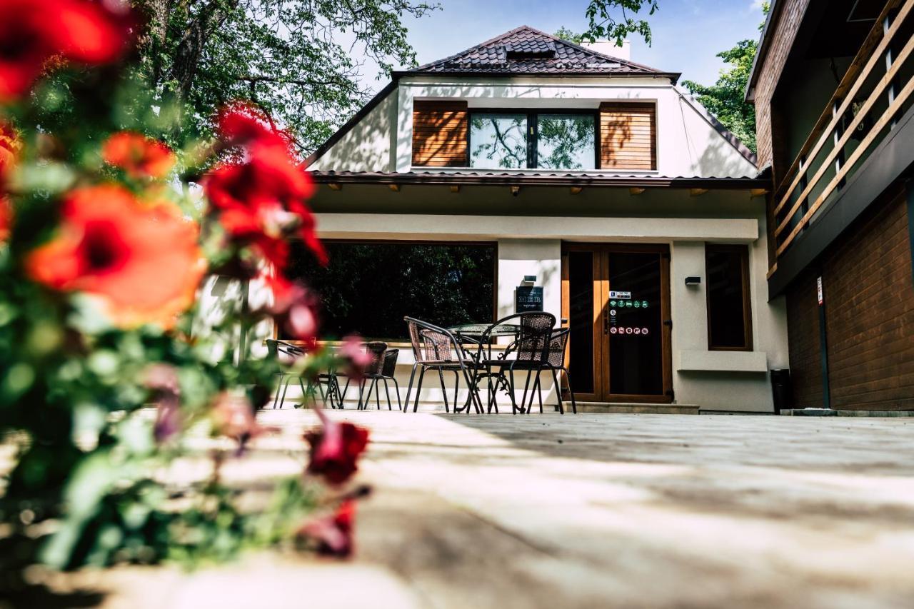Mer Guest House B&B บราชอฟ ภายนอก รูปภาพ